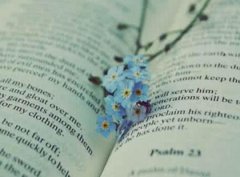 政工师转评转升要求有哪些