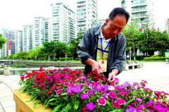 园林工程师评审条件？