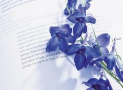 宁夏教师中小学职称评审条件