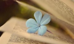 出书的基本常识