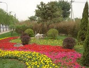 园林工程师评审要求