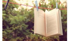 丛书号出书如何发行