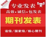 期刊发表