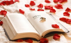 如何确定自己需要主编还是编著？