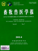 怎样在兽医杂志上发表文章