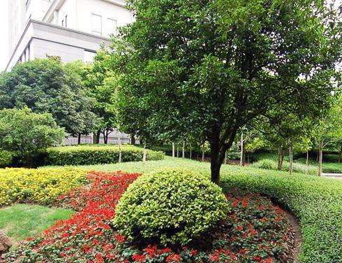 高级园林工程师