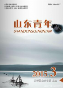 山东青年属于什么级别杂志