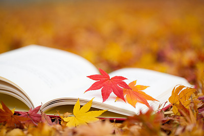 个人著作自费出书需要多少钱?