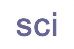 sci论文润色什么意思