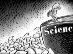 学生论文有何详细分类？