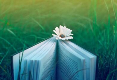 申请书号费用,书号多少钱