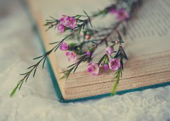 参编教材能选丛书书号吗?