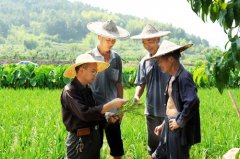 助理农艺师评审需满足什么条件?