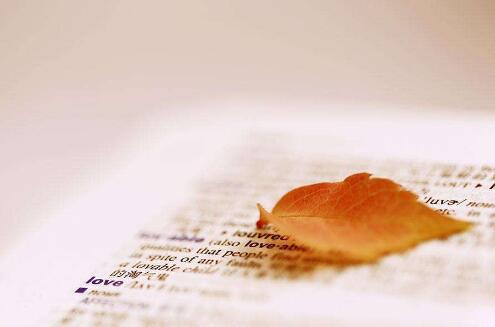 山东出版独立书号多少钱