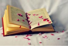 博士论文出版专著怎么出版