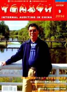 中国内部审计