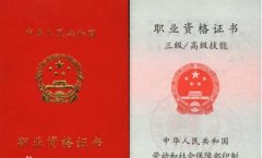 高级经济师适合在什么期刊