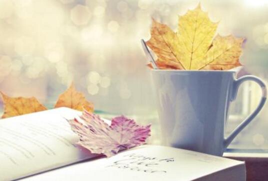 出版一本合编书籍费用最低多少