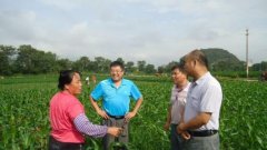 农业局人员评高级农艺师怎样发论文