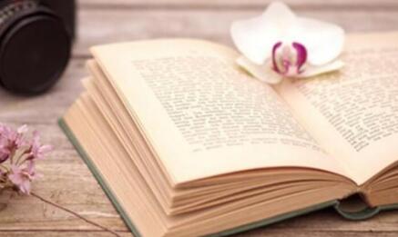 专著的书号如何申请