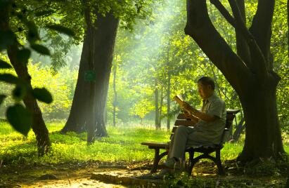 专利申请不予受理的情形有哪些