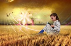 实用新型专利属于发明专利?