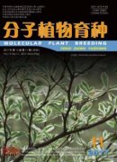 分子植物育种审稿快吗