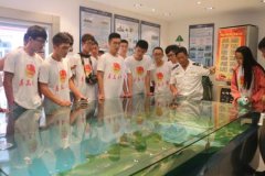 国际商务专业大学生如何投