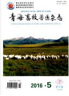 青海畜牧兽医