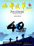 西部皮革发一篇多少钱?