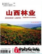 林业初级工程师职称申报条件是什么