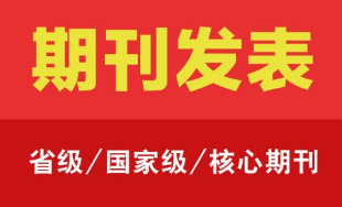 期刊论文发表