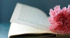 正规书号需要具备的常识问题