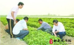 农艺师高级职称申报条件