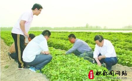 农艺师高级职称申报条件