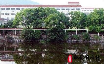 林业高级职称的评审条件