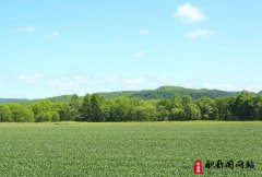 经济师高级职称评定的要求