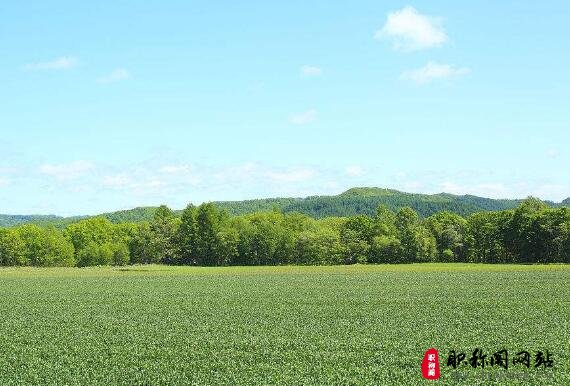 经济师高级职称评定的要求