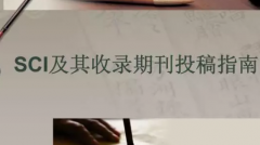 SCI投入口在哪里