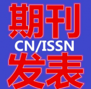 期刊对论文作者有什么要求吗
