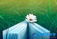 出书刊号怎么申请?