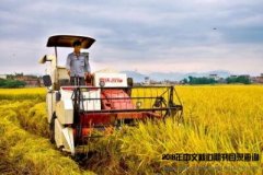 哪些专业的核心论文比较好发？