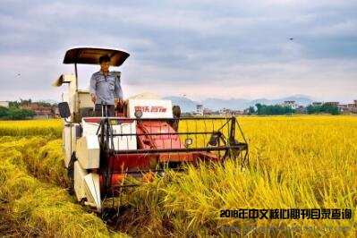 哪些专业的核心论文比较好发?