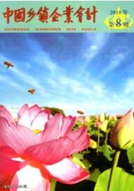 中国乡镇企业会计