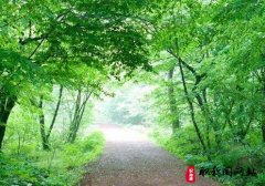 园林工程师高级职称评定的要求