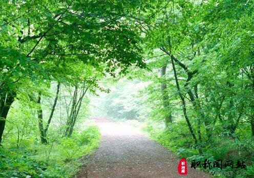 园林工程师高级职称评定的要求