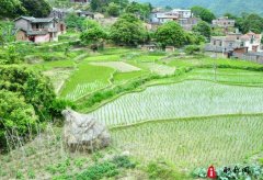 林业高级工程师职称评定的要求