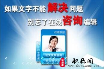 河北省经济师高级职称评审论文要求