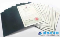 实用新型专利能评上正高吗