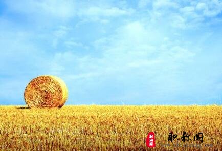 吉林高级农艺师职称评定的要求